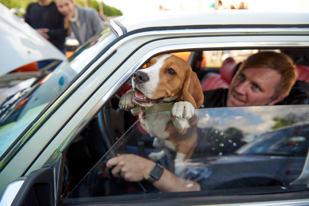 DSC_6834.jpg DSC_6834.jpg